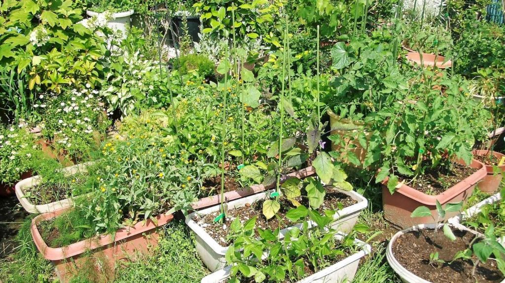 מוצרים לבית ולגן