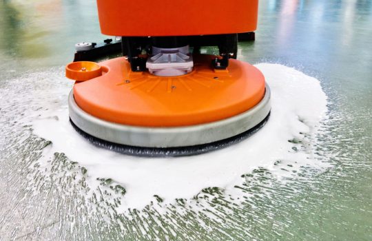 שירותי פוליש חיפה2